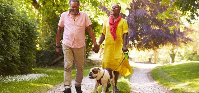 Retirees and Their Dog